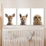 Nursery Baby Deer Fox Owl 3 Wall Art
