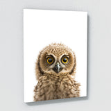 Nursery Baby Deer Fox Owl 3 Wall Art