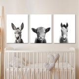 Nursery Baby Donkey Highland Horse 2 Wall Art
