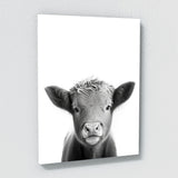 Nursery Baby Donkey Highland Horse 2 Wall Art