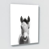 Nursery Baby Donkey Highland Horse 2 Wall Art