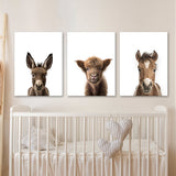 Nursery Baby Donkey Highland Horse 3 Wall Art