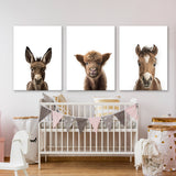 Nursery Baby Donkey Highland Horse 3 Wall Art