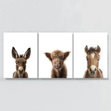 Nursery Baby Donkey Highland Horse 3 Wall Art