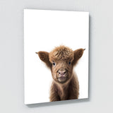 Nursery Baby Donkey Highland Horse 3 Wall Art