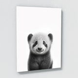 Nursery Baby Koala Monkey Panda 2 Wall Art