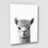 Nursery Baby Alpaca Black White 199 Wall Art