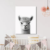 Nursery Baby Alpaca Black White 199 Wall Art