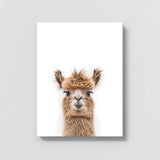 Nursery Baby Alpaca Photography 162 Wall Art