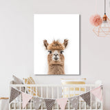 Nursery Baby Alpaca Photography 162 Wall Art