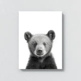 Nursery Baby Bear Black White 186 Wall Art