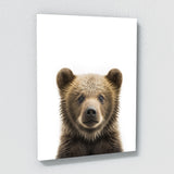 Nursery Baby Bear Photography 150 Wall Art