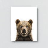 Nursery Baby Bear Photography 150 Wall Art