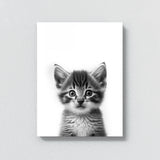 Nursery Baby Cat Black White 180 Wall Art