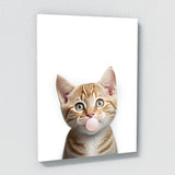 Nursery Baby Cat Bubble Gum 19 Wall Art