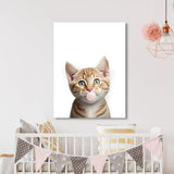 Nursery Baby Cat Bubble Gum 19 Wall Art