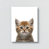 Nursery Baby Cat Photography 148 Wall Art
