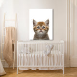 Nursery Baby Cat Photography 148 Wall Art