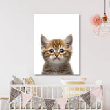 Nursery Baby Cat Photography 148 Wall Art