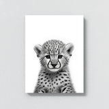 Nursery Baby Cheetah Black White 173 Wall Art