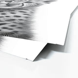 Nursery Baby Cheetah Black White 173 Wall Art