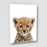 Nursery Baby Cheetah Photography 136 Wall Art