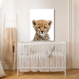 Nursery Baby Cheetah Photography 136 Wall Art