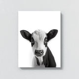 Nursery Baby Cow Black White 197 Wall Art