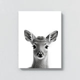 Nursery Baby Deer Black White 176 Wall Art