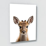 Nursery Baby Deer Photography 139 Wall Art