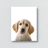 Nursery Baby Dog Photography 147 Wall Art