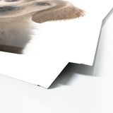 Nursery Baby Dog Photography 147 Wall Art