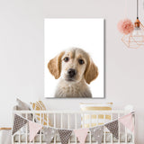 Nursery Baby Dog Photography 147 Wall Art