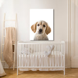 Nursery Baby Dog Photography 147 Wall Art