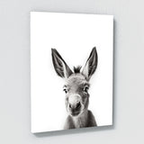 Nursery Baby Donkey Black White 196 Wall Art