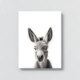 Nursery Baby Donkey Black White 196 Wall Art