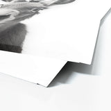 Nursery Baby Donkey Black White 196 Wall Art