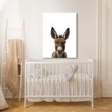 Nursery Baby Donkey Photography 160 Wall Art