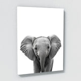 Nursery Baby Elephant Black White 166 Wall Art