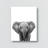 Nursery Baby Elephant Black White 166 Wall Art
