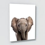 Nursery Baby Elephant Photography 141 Wall Art