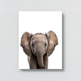 Nursery Baby Elephant Photography 141 Wall Art