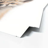 Nursery Baby Fox Photography 155 Wall Art