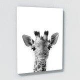 Nursery Baby Giraffe Black White 190 Wall Art