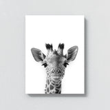 Nursery Baby Giraffe Black White 190 Wall Art