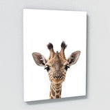 Nursery Baby Giraffe Photography 152 Wall Art