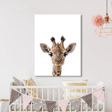 Nursery Baby Giraffe Photography 152 Wall Art