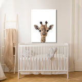 Nursery Baby Giraffe Photography 152 Wall Art