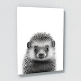 Nursery Baby Hedgehog Black White 200 Wall Art