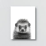 Nursery Baby Hedgehog Black White 200 Wall Art